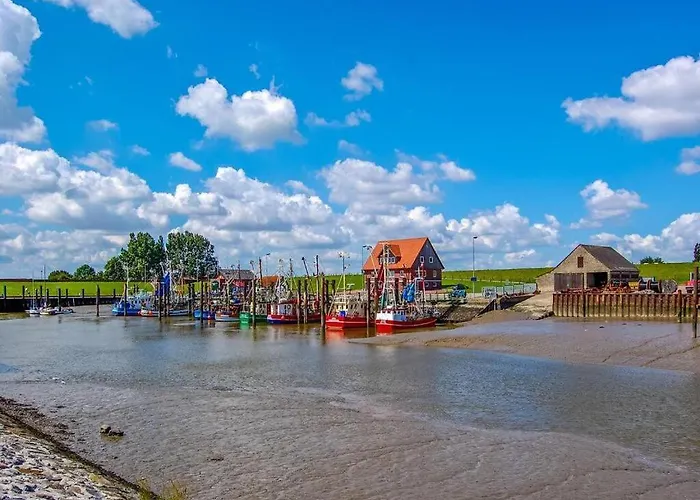 Mundan 2 בורהאבה